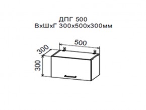Шкаф верхний ДПГ500 горизонтальный в Богдановиче - bogdanovich.магазин96.com | фото