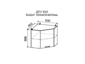 Шкаф верхний ДПУ600 угловой в Богдановиче - bogdanovich.магазин96.com | фото
